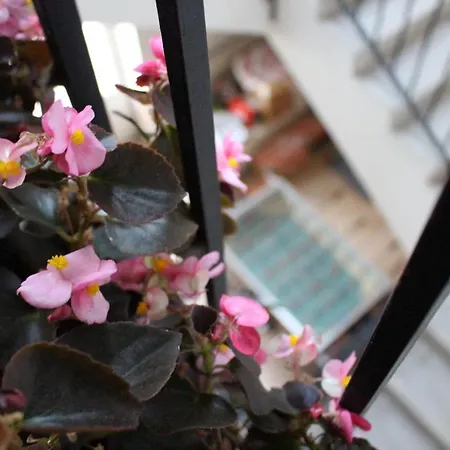 Esztergom Central * Esztergom