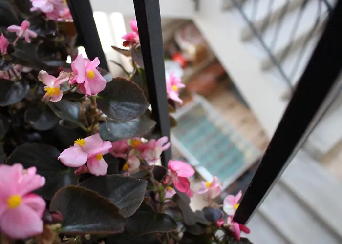 Esztergom Central * Esztergom